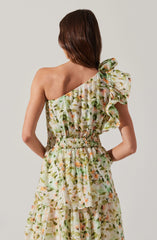 Imelda One Shoulder Floral Maxi Dress
