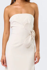 Beauty In Bloom Tube Maxi Dress